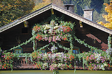 Blumengeschmücktes Haus in Fusch
