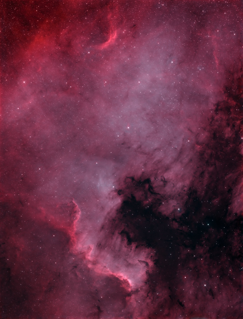 NGC 7000