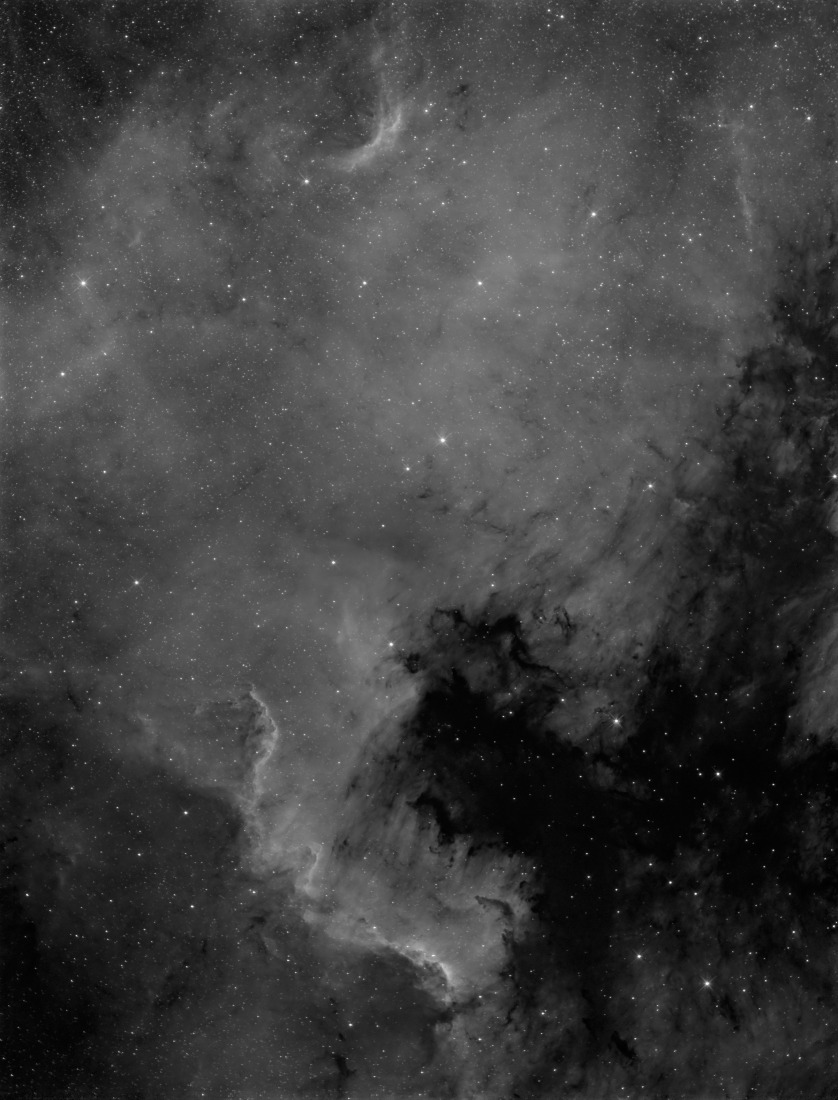 NGC 7000 in Ha