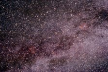 Cepheus