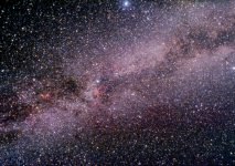 Cygnus