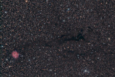 IC 5146 - Cocoon Nebula