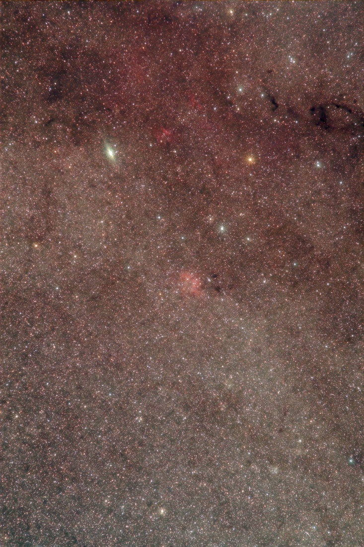 Cepheus South