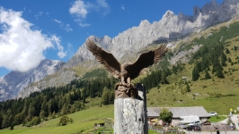 Bronzeadler