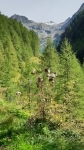 Im Kleinfleißtal