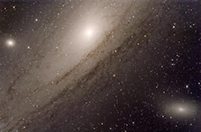 M31