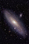 M31