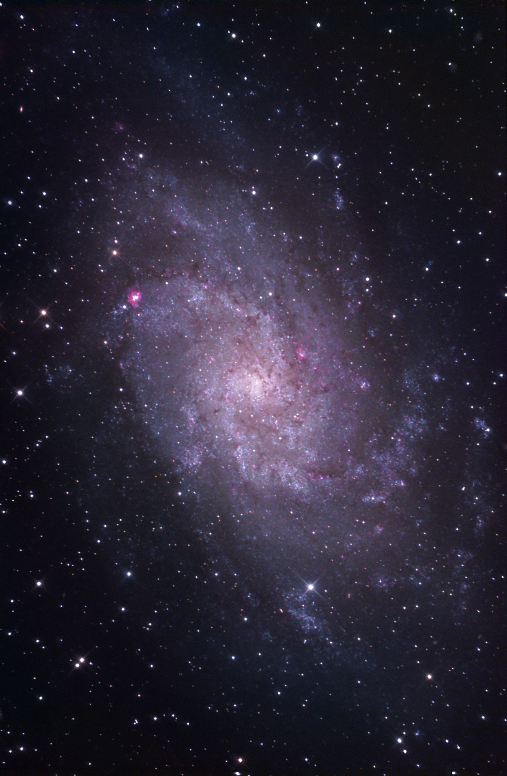 M33