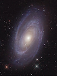 M81