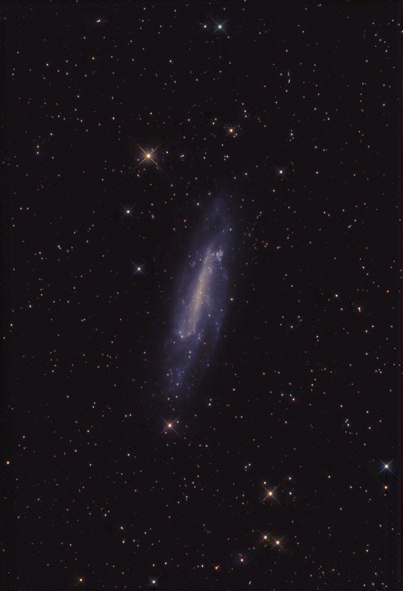 NGC 4236