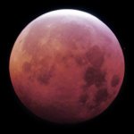 Photos of the January 2001 Total Lunar Eclipse
