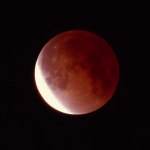Photos of the November 2003 Total Lunar Eclipse
