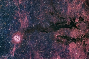 IC 5146